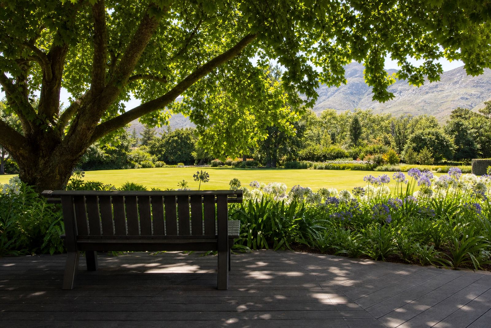 Garden Bench Positions