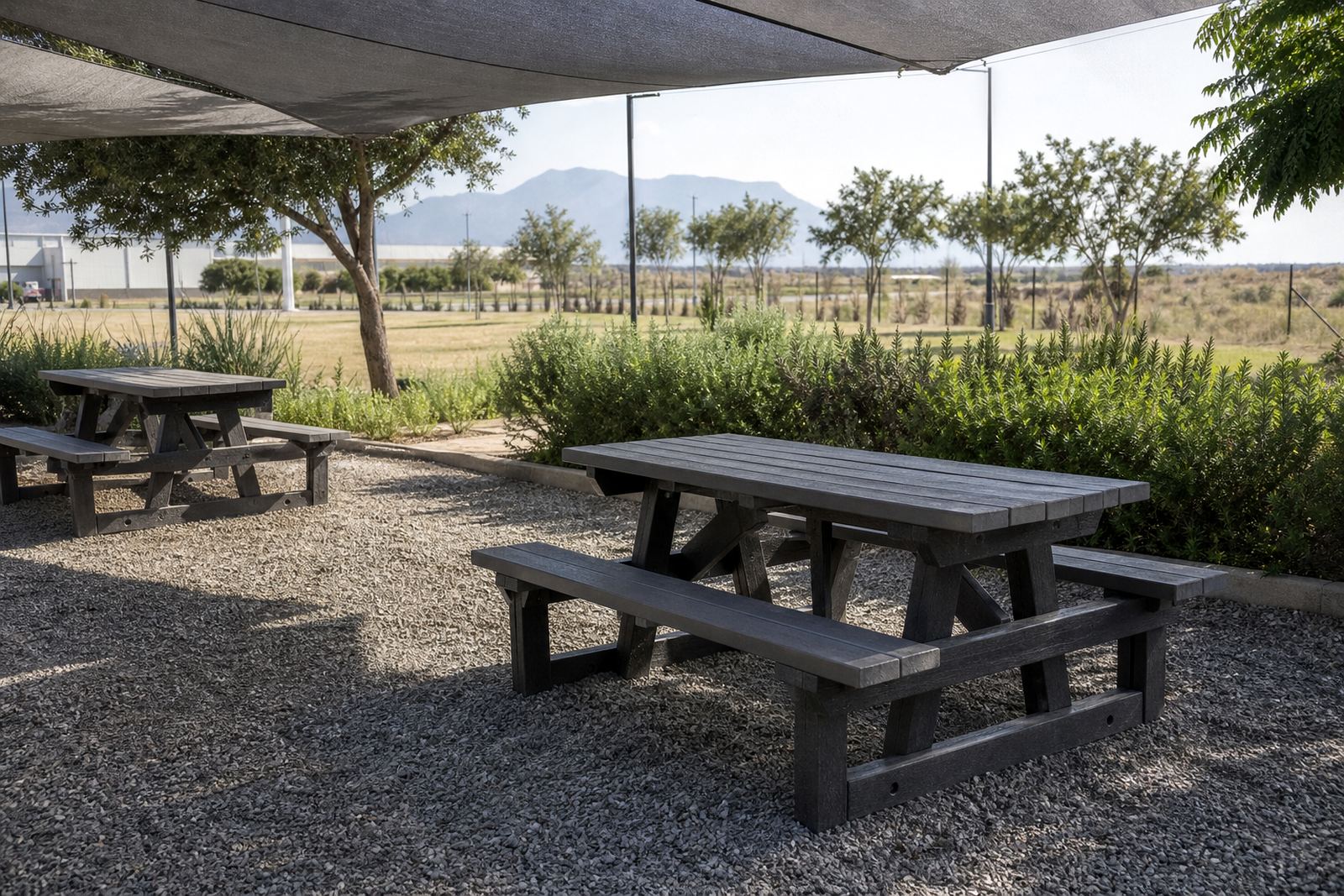 Picnic Benches