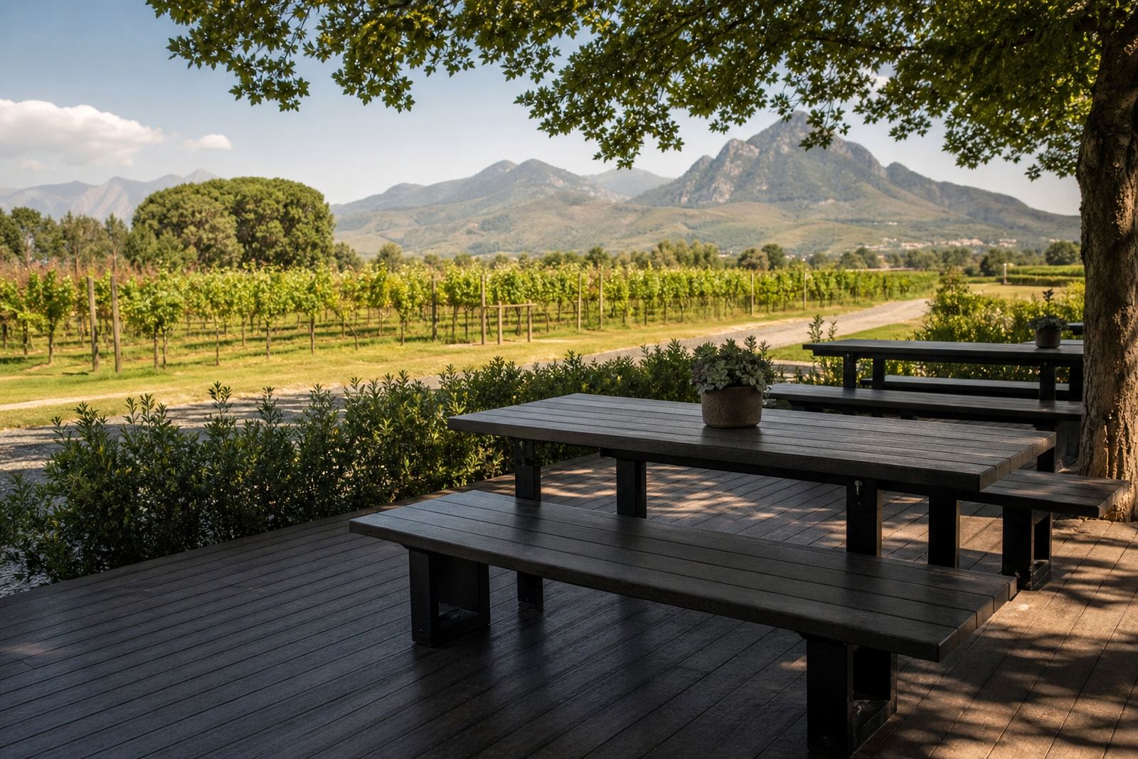 Wine Farms